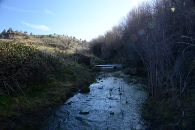 DSC_1076 (Large).JPG